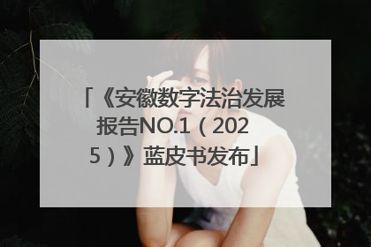 《安徽数字法治发展报告NO.1（2025）》蓝皮书发布