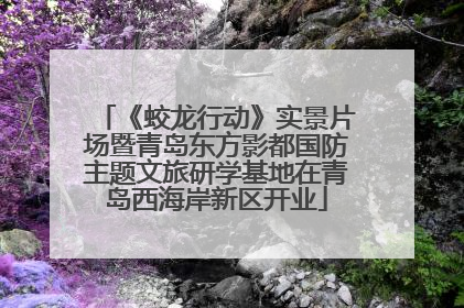 《蛟龙行动》实景片场暨青岛东方影都国防主题文旅研学基地在青岛西海岸新区开业