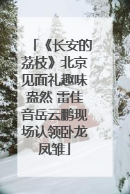 《长安的荔枝》北京见面礼趣味盎然 雷佳音岳云鹏现场认领卧龙凤雏