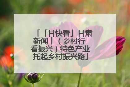 「甘快看」甘肃新闻丨（乡村行 看振兴）特色产业托起乡村振兴路