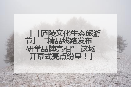 「庐陵文化生态旅游节」“精品线路发布+研学品牌亮相” 这场开幕式亮点纷呈！