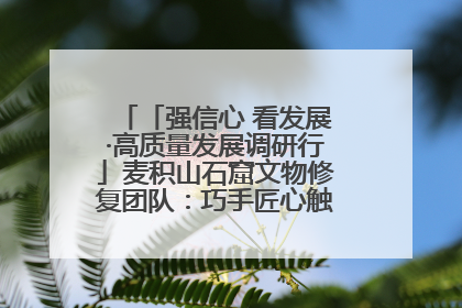 「强信心 看发展·高质量发展调研行」麦积山石窟文物修复团队：巧手匠心触摸“光阴的故事”
