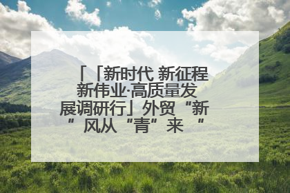 「新时代 新征程 新伟业·高质量发展调研行」外贸“新”风从“青”来 “双向奔赴”启新程