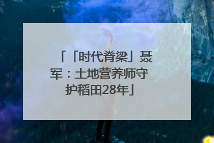 「时代脊梁」聂军：土地营养师守护稻田28年