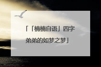 「楠楠自语」四字弟弟的如梦之梦