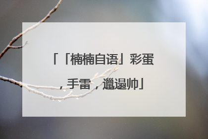 「楠楠自语」彩蛋，手雷，邋遢帅
