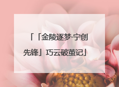 「金陵逐梦·宁创先锋」巧云破茧记