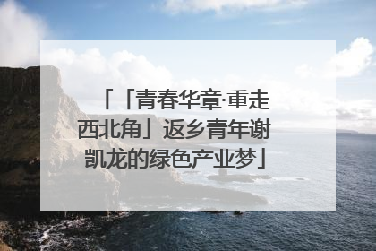 「青春华章·重走西北角」返乡青年谢凯龙的绿色产业梦