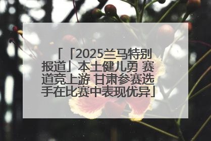 「2025兰马特别报道」本土健儿勇 赛道竞上游 甘肃参赛选手在比赛中表现优异