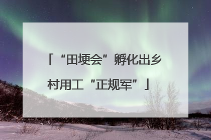 “田埂会”孵化出乡村用工“正规军”