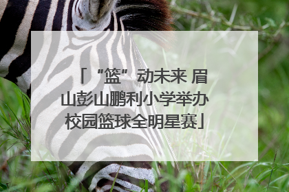 “篮”动未来 眉山彭山鹏利小学举办校园篮球全明星赛