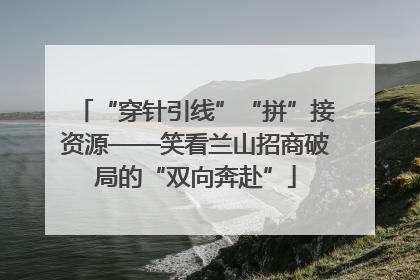 “穿针引线”“拼”接资源——笑看兰山招商破局的“双向奔赴”