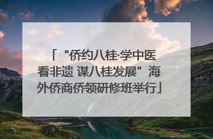 “侨约八桂·学中医 看非遗 谋八桂发展”海外侨商侨领研修班举行
