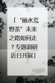“丽水荒野茶”未来之路如何走？专题调研近日开展