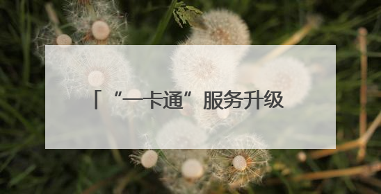 “一卡通”服务升级 第二批长三角一体化发展十大实事项目发布