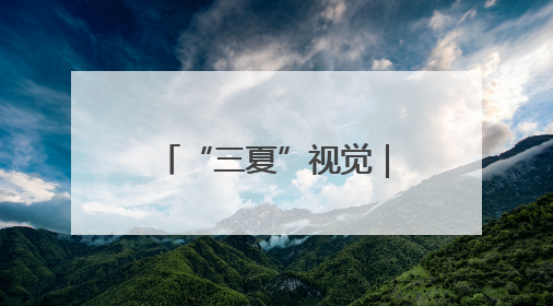 “三夏”视觉｜黄河滩区麦田大面积收割开启