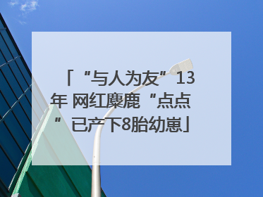 “与人为友”13年 网红麋鹿“点点”已产下8胎幼崽