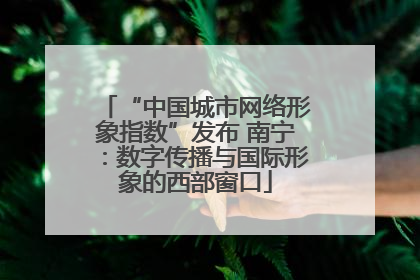 “中国城市网络形象指数”发布 南宁：数字传播与国际形象的西部窗口
