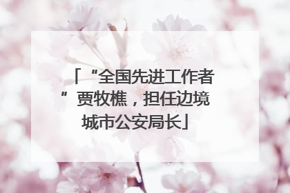 “全国先进工作者”贾牧樵，担任边境城市公安局长