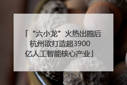 “六小龙”火热出圈后 杭州欲打造超3900亿人工智能核心产业