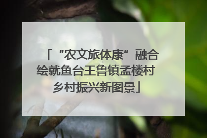 “农文旅体康”融合绘就鱼台王鲁镇孟楼村乡村振兴新图景