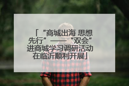 “商城出海 思想先行”——“双会”进商城学习调研活动在临沂顺利开展