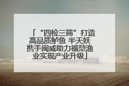 “四检三筛”打造高品质鲈鱼 半天妖携手闽威助力福鼎渔业实现产业升级