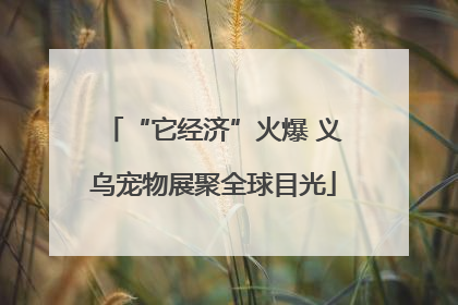“它经济”火爆 义乌宠物展聚全球目光