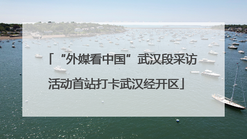 “外媒看中国”武汉段采访活动首站打卡武汉经开区