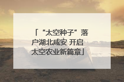 “太空种子”落户湖北咸安 开启太空农业新篇章
