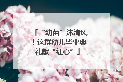 “幼苗”沐清风！这群幼儿毕业典礼献“红心”