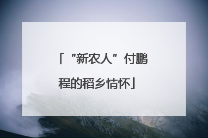 “新农人”付鹏程的稻乡情怀