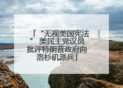 “无视美国宪法” 美民主党议员批评特朗普政府向洛杉矶派兵