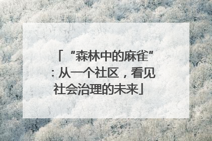 “森林中的麻雀”：从一个社区，看见社会治理的未来