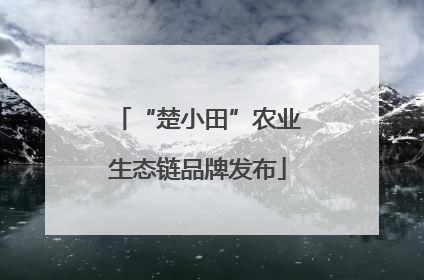 “楚小田”农业生态链品牌发布