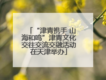 “津青携手 山海和鸣”津青文化交往交流交融活动在天津举办