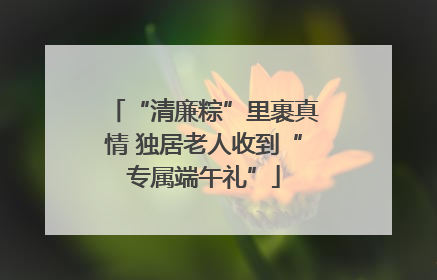 “清廉粽”里裹真情 独居老人收到“专属端午礼”