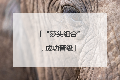 “莎头组合”，成功晋级
