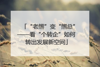 “老熊”变“熊总”——看“个转企”如何转出发展新空间