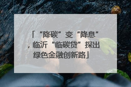“降碳”变“降息”，临沂“临碳贷”探出绿色金融创新路