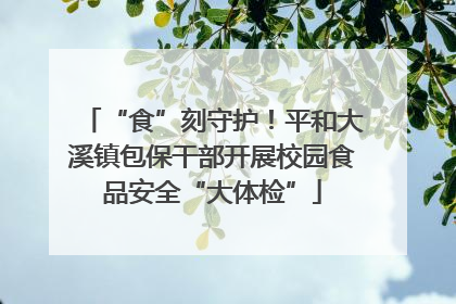 “食”刻守护！平和大溪镇包保干部开展校园食品安全“大体检”