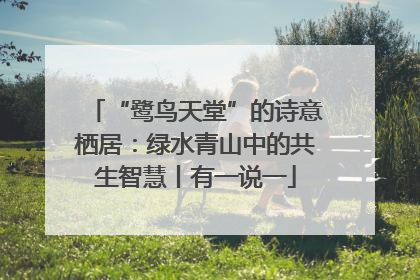 “鹭鸟天堂”的诗意栖居：绿水青山中的共生智慧丨有一说一