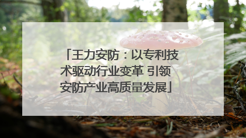 王力安防：以专利技术驱动行业变革 引领安防产业高质量发展