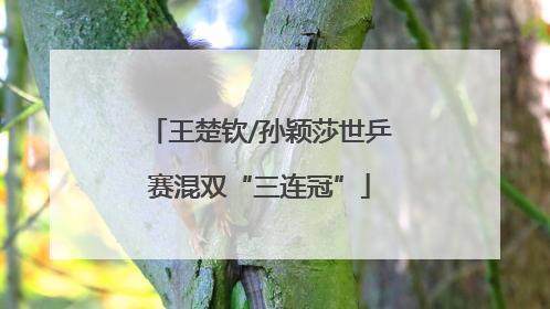 王楚钦/孙颖莎世乒赛混双“三连冠”