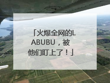 火爆全网的LABUBU，被他们盯上了！