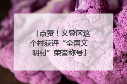 点赞！文登区这个村获评“全国文明村”荣誉称号