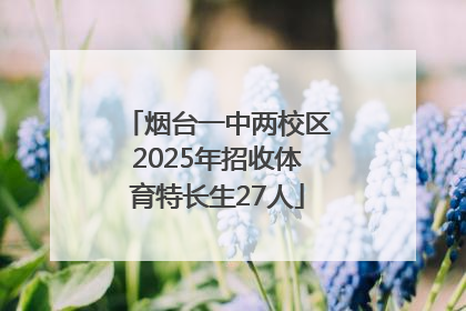 烟台一中两校区2025年招收体育特长生27人