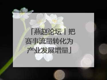 燕赵论坛丨把赛事流量转化为产业发展增量