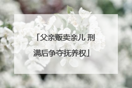 父亲贩卖亲儿 刑满后争夺抚养权