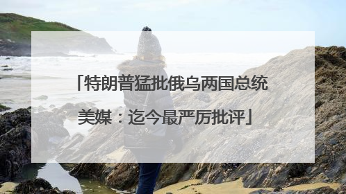 特朗普猛批俄乌两国总统 美媒：迄今最严厉批评